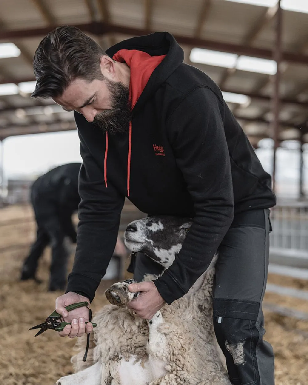 Hoggs of Fife Hoggs Professional Hoodie